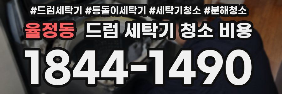 율정동 드럼 세탁기 청소 비용