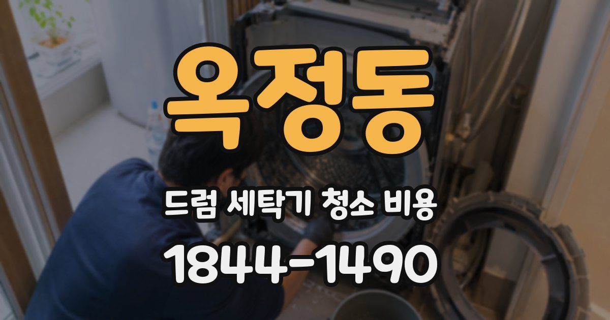 옥정동 드럼 세탁기 청소 비용