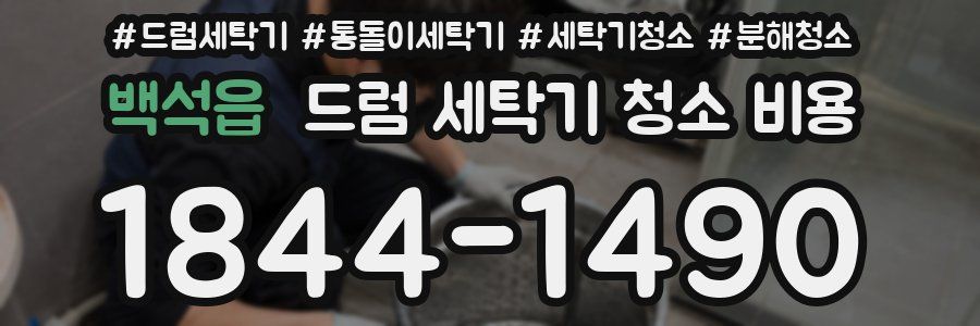 백석읍 드럼 세탁기 청소 비용