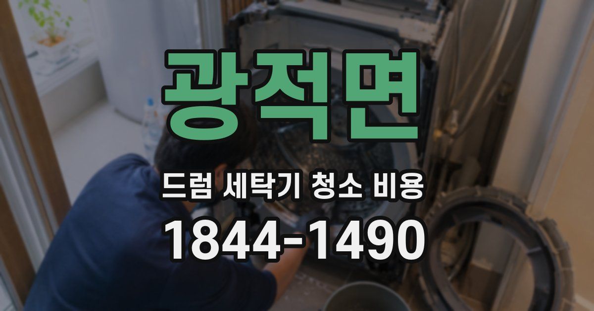 광적면 드럼 세탁기 청소 비용