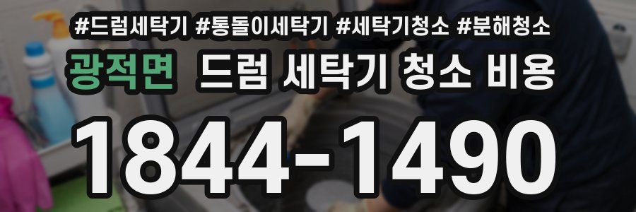 광적면 드럼 세탁기 청소 비용