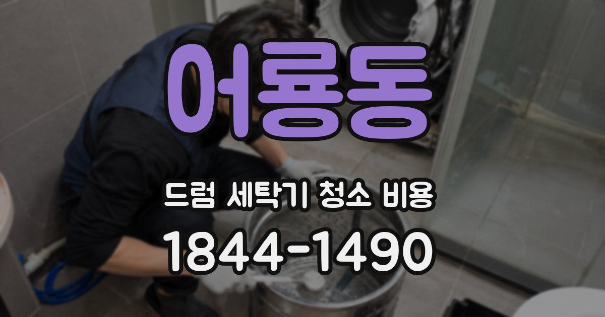 어룡동 드럼 세탁기 청소 비용