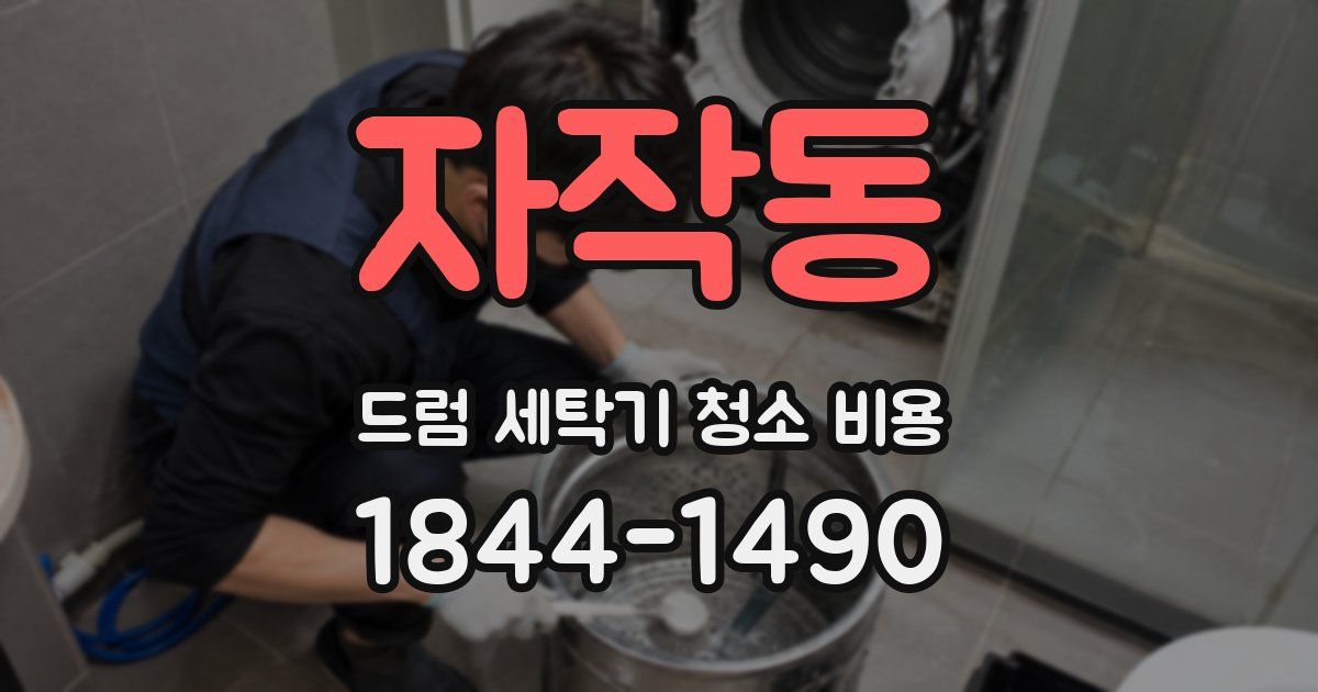 자작동 드럼 세탁기 청소 비용