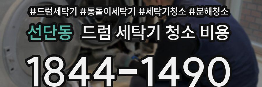선단동 드럼 세탁기 청소 비용