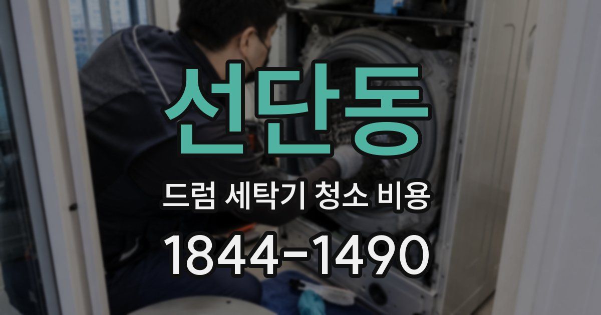 선단동 드럼 세탁기 청소 비용