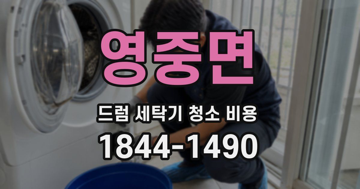 영중면 드럼 세탁기 청소 비용
