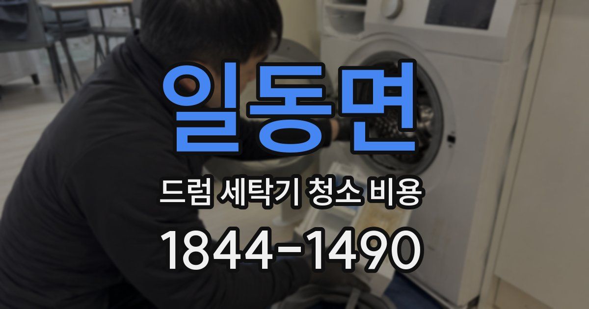 일동면 드럼 세탁기 청소 비용