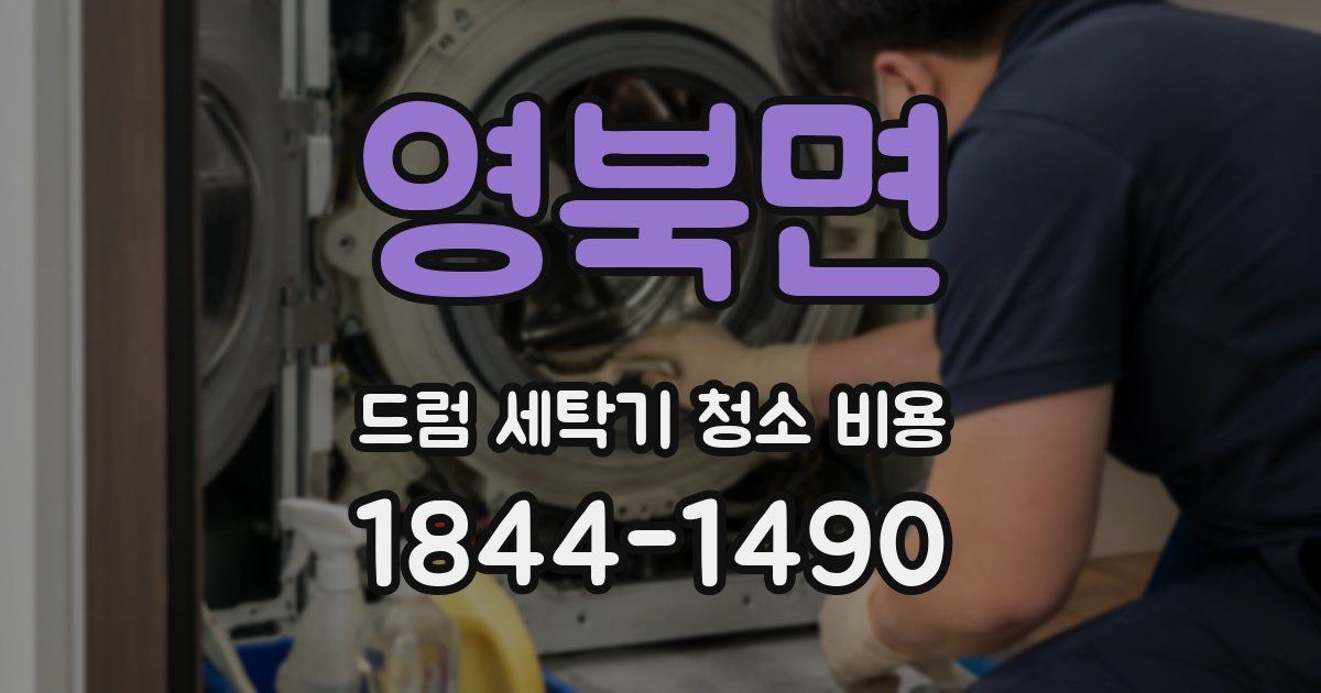 영북면 드럼 세탁기 청소 비용
