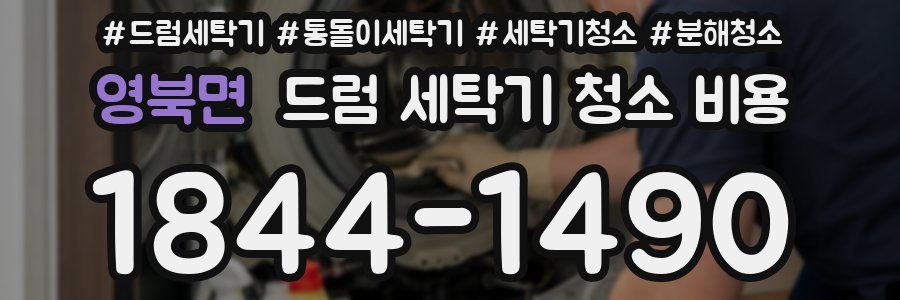 영북면 드럼 세탁기 청소 비용
