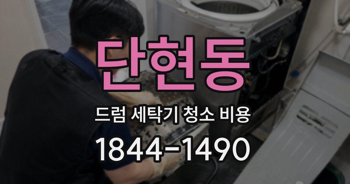 단현동 드럼 세탁기 청소 비용