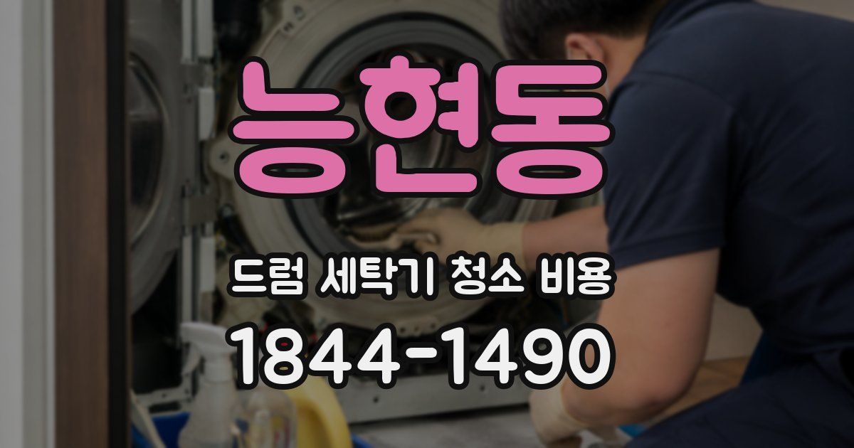 능현동 드럼 세탁기 청소 비용