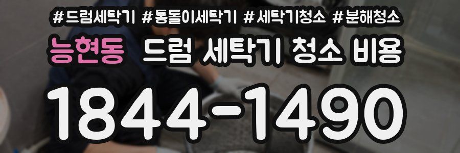 능현동 드럼 세탁기 청소 비용