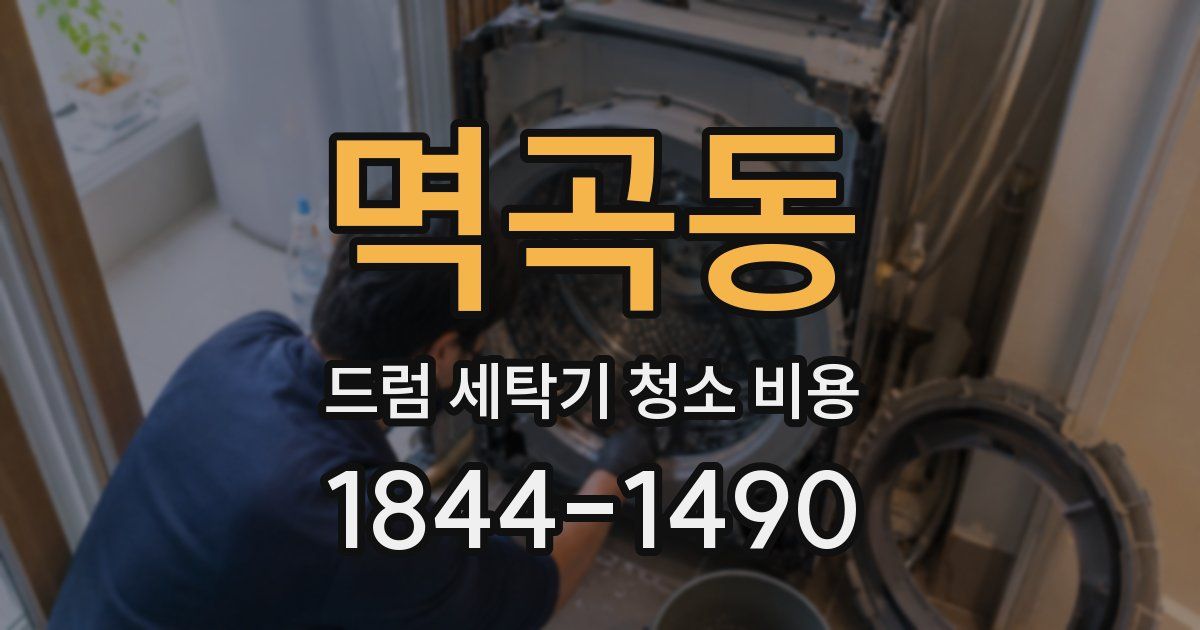 멱곡동 드럼 세탁기 청소 비용
