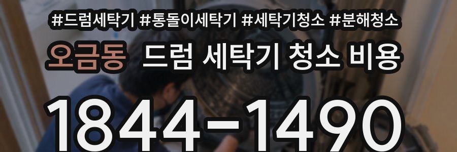 오금동 드럼 세탁기 청소 비용