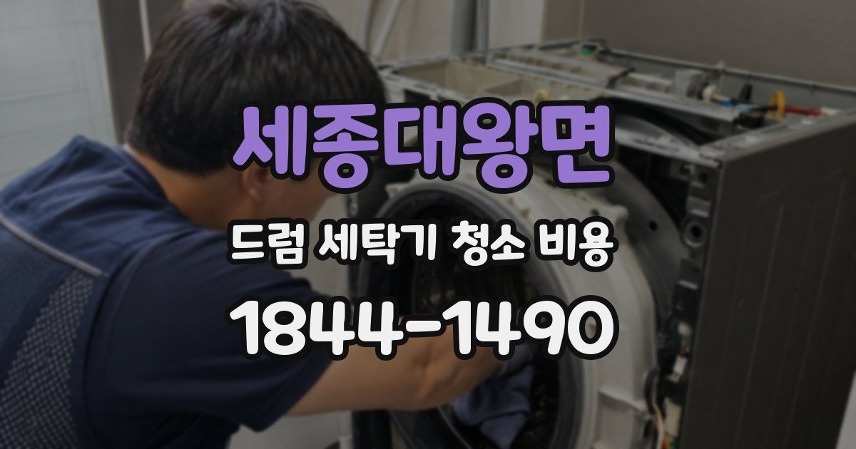 세종대왕면 드럼 세탁기 청소 비용