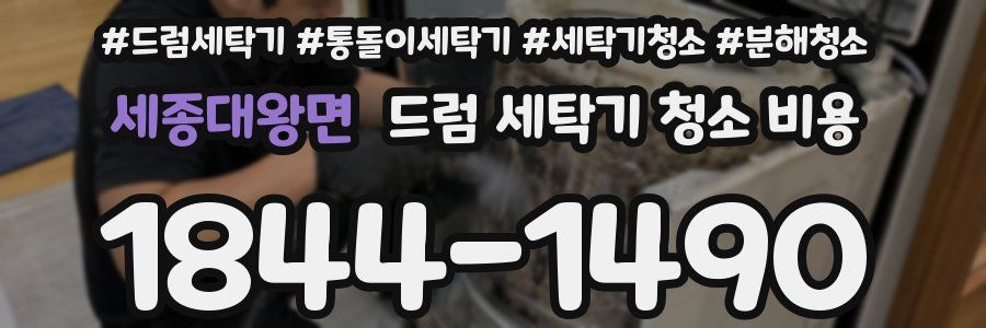 세종대왕면 드럼 세탁기 청소 비용