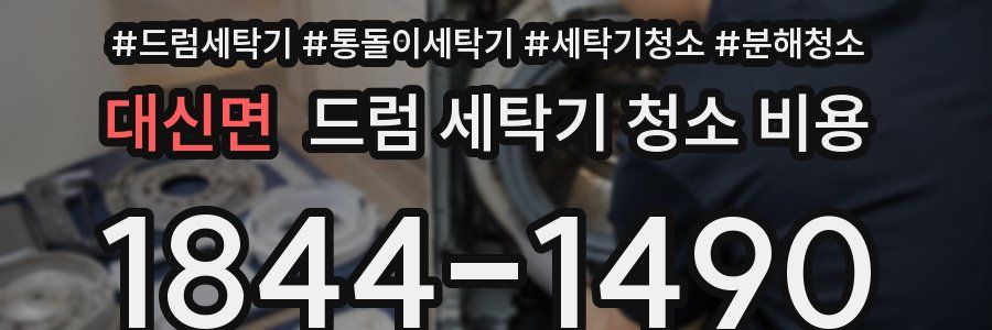 대신면 드럼 세탁기 청소 비용