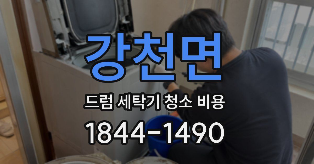 강천면 드럼 세탁기 청소 비용