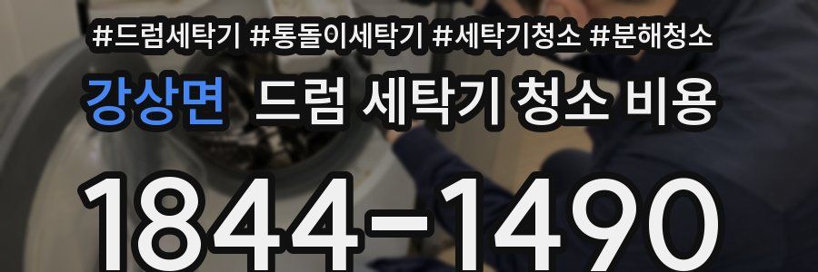강상면 드럼 세탁기 청소 비용