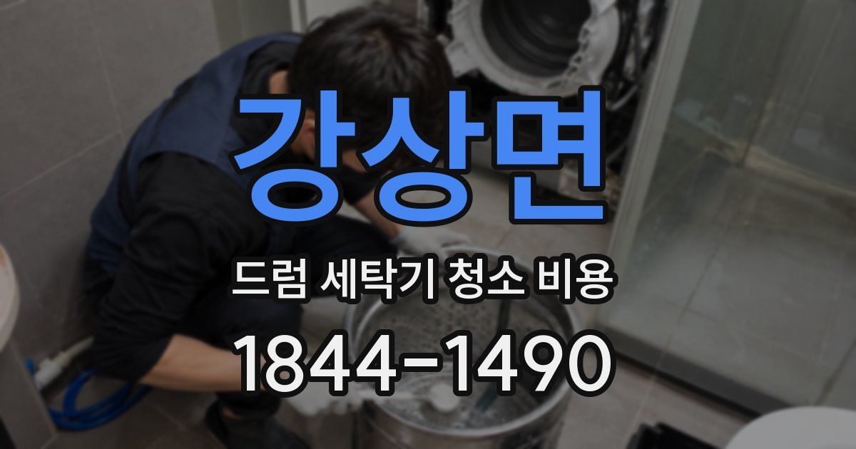 강상면 드럼 세탁기 청소 비용
