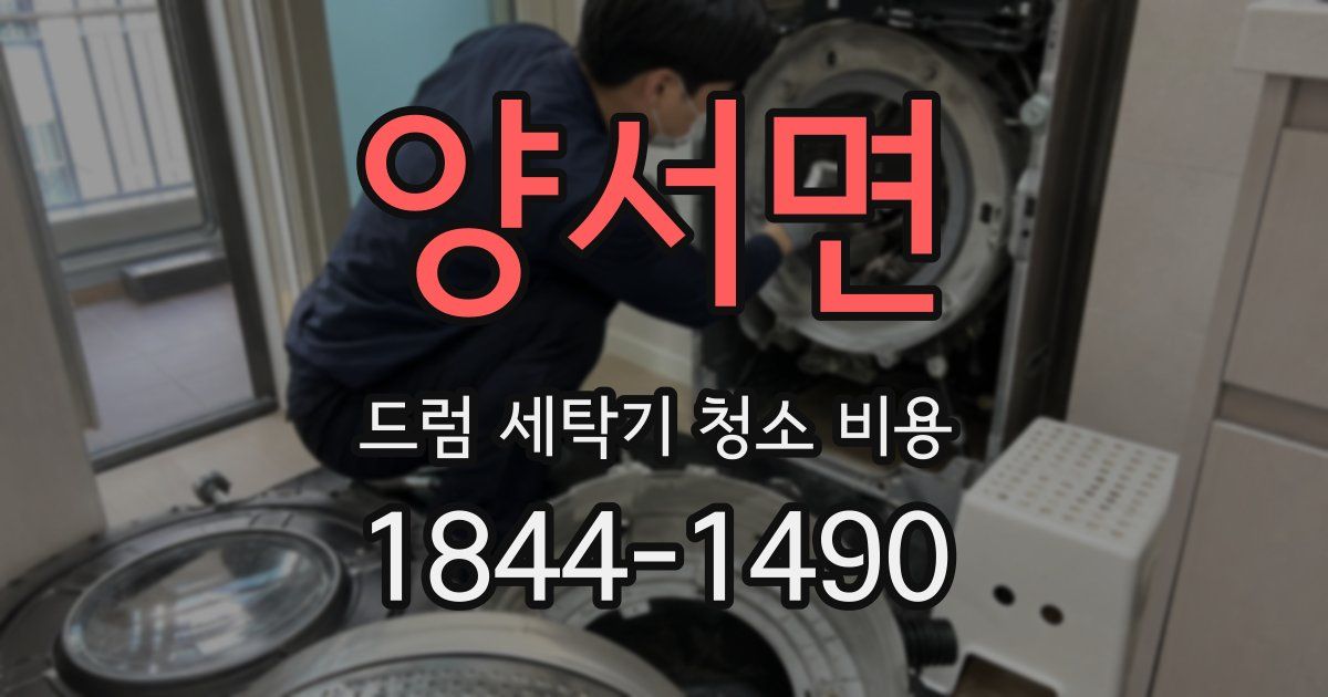 양서면 드럼 세탁기 청소 비용