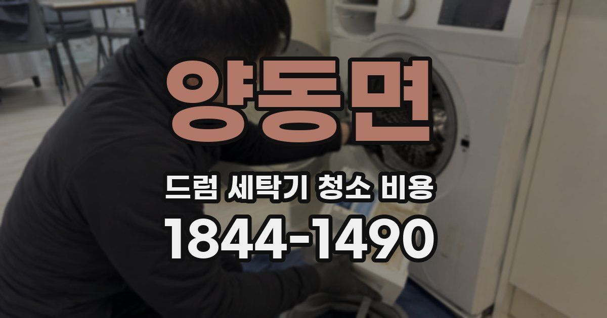 양동면 드럼 세탁기 청소 비용