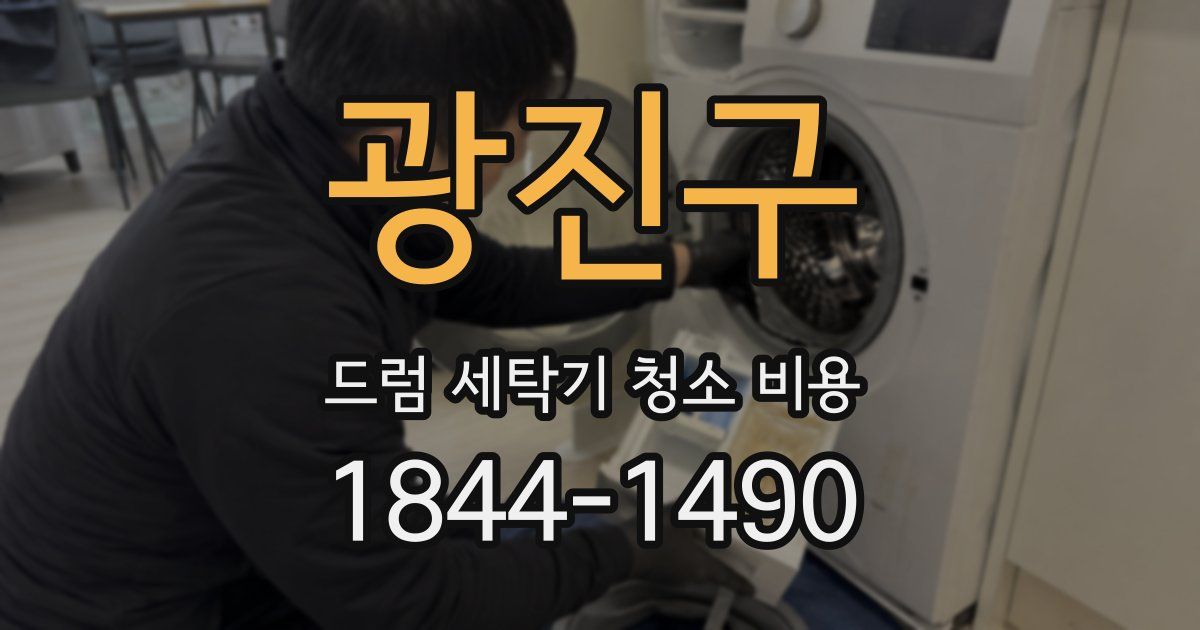 광진구 드럼 세탁기 청소 비용