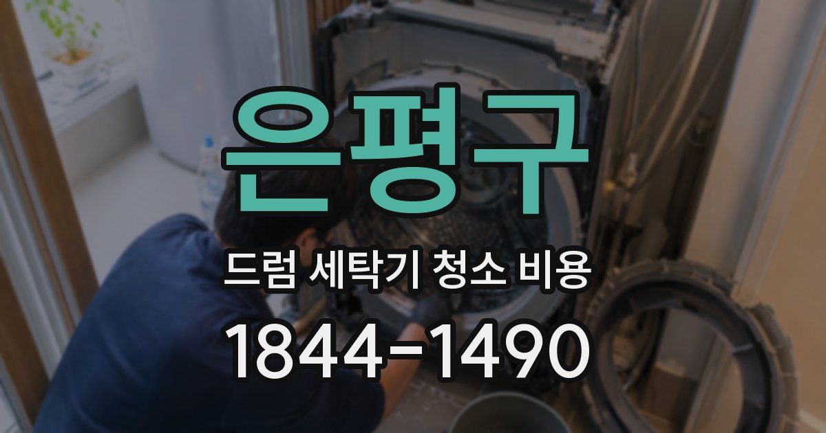 은평구 드럼 세탁기 청소 비용