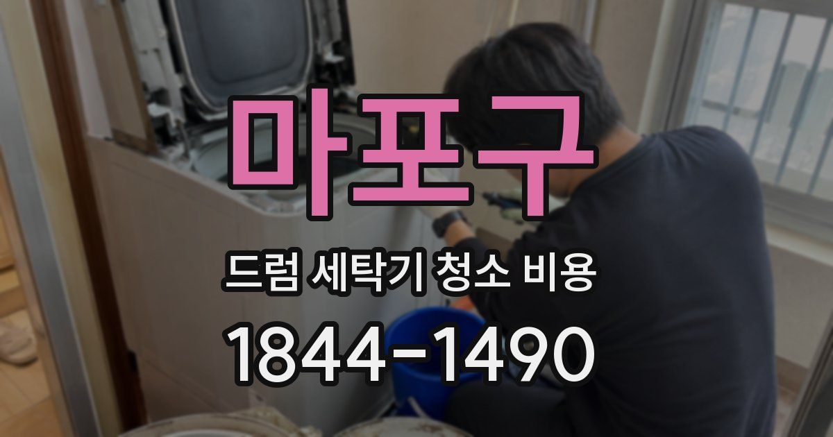 마포구 드럼 세탁기 청소 비용