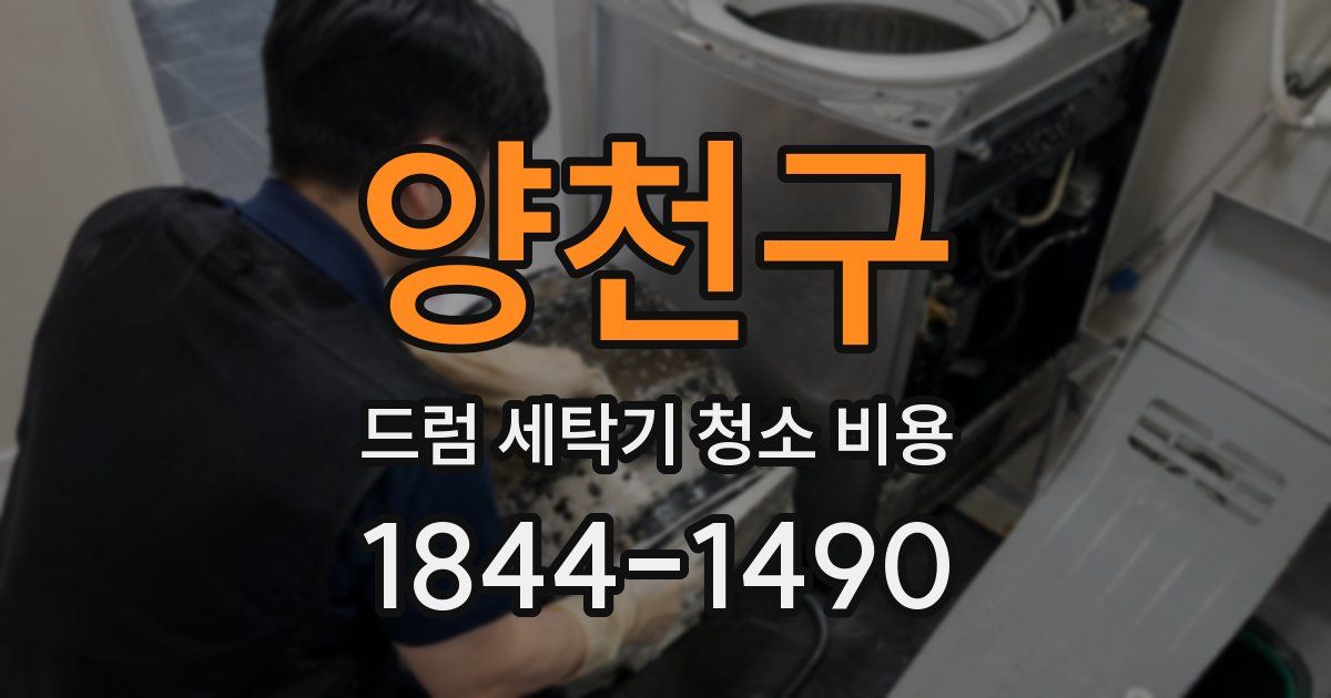 양천구 드럼 세탁기 청소 비용