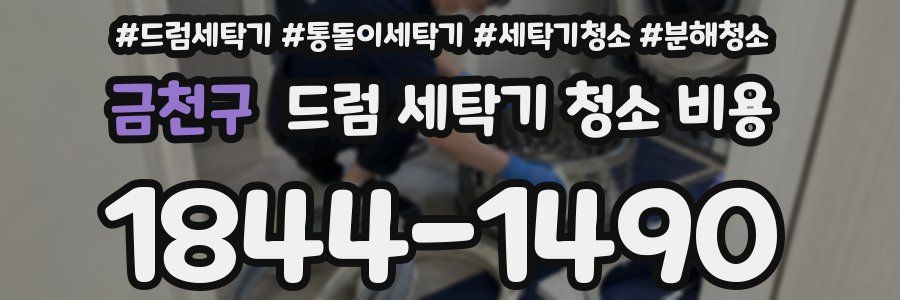 금천구 드럼 세탁기 청소 비용