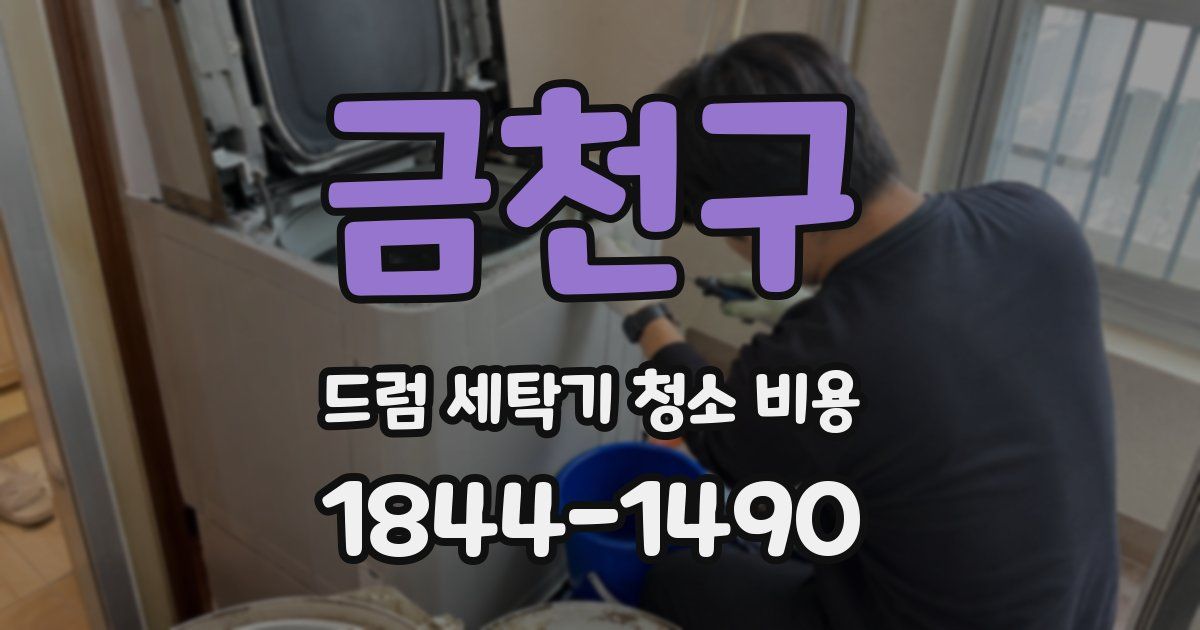 금천구 드럼 세탁기 청소 비용