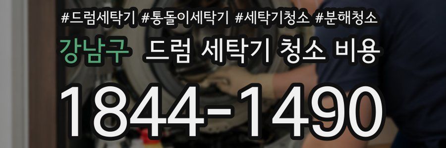 강남구 드럼 세탁기 청소 비용