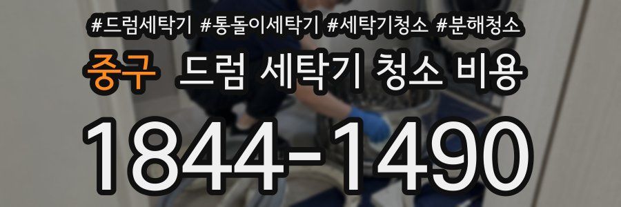 중구 드럼 세탁기 청소 비용