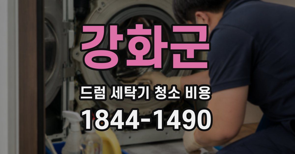 강화군 드럼 세탁기 청소 비용