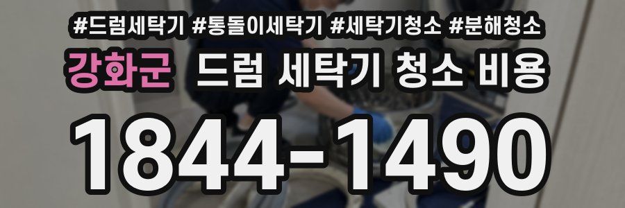 강화군 드럼 세탁기 청소 비용