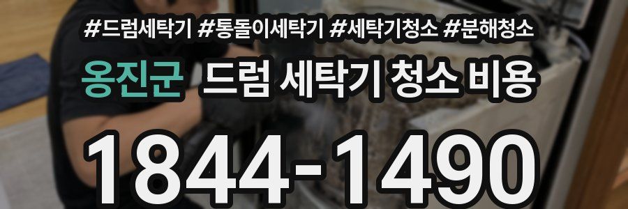 옹진군 드럼 세탁기 청소 비용