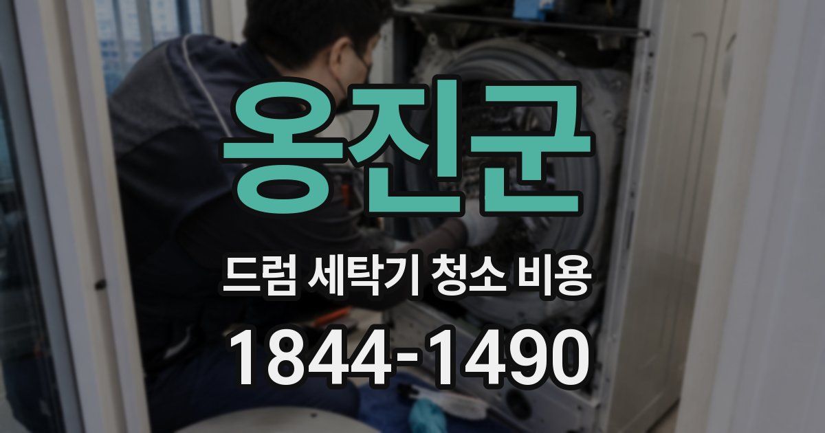 옹진군 드럼 세탁기 청소 비용