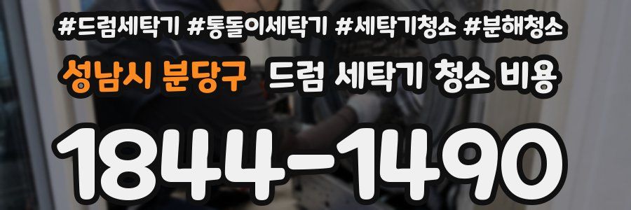 성남시 분당구 드럼 세탁기 청소 비용