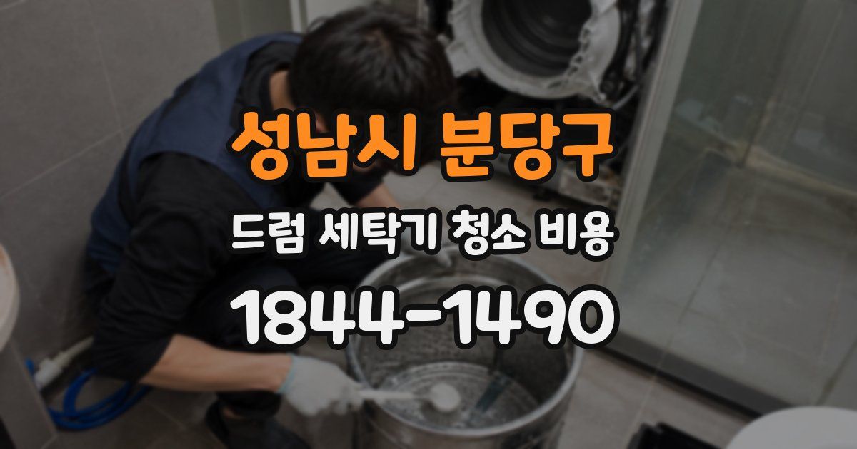 성남시 분당구 드럼 세탁기 청소 비용