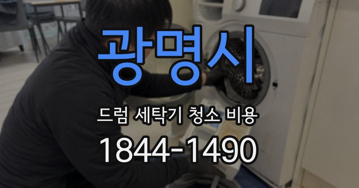 광명시 드럼 세탁기 청소 비용