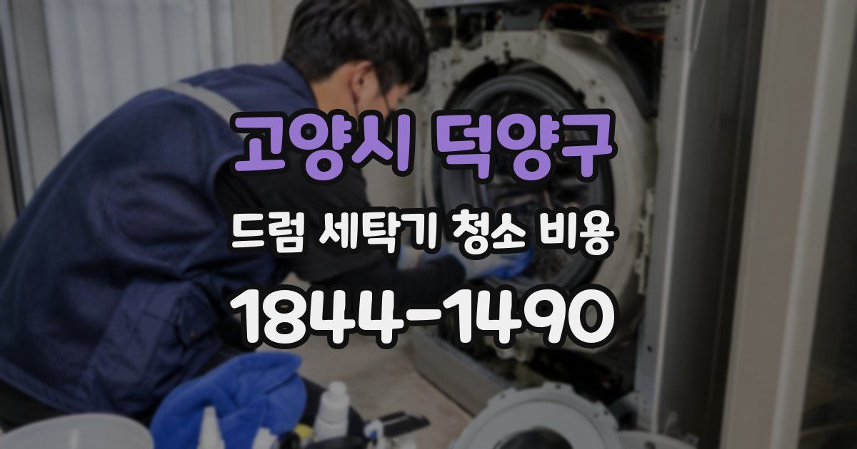 고양시 덕양구 드럼 세탁기 청소 비용