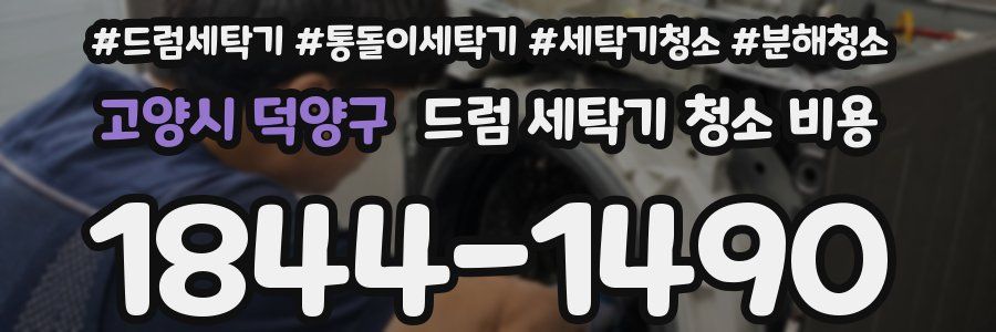 고양시 덕양구 드럼 세탁기 청소 비용