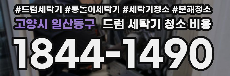 고양시 일산동구 드럼 세탁기 청소 비용