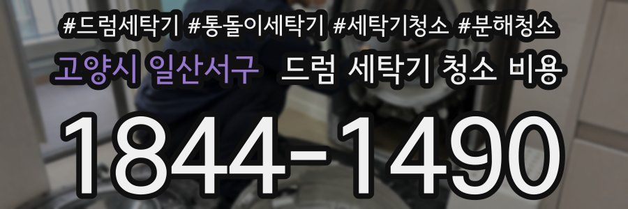 고양시 일산서구 드럼 세탁기 청소 비용