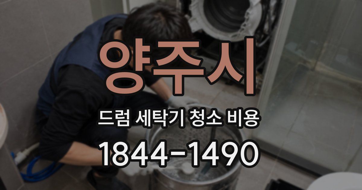 양주시 드럼 세탁기 청소 비용