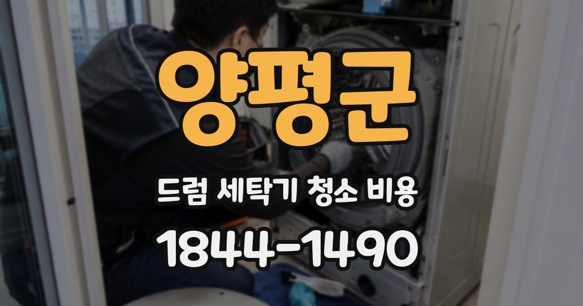 양평군 드럼 세탁기 청소 비용