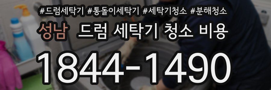 성남 드럼 세탁기 청소 비용