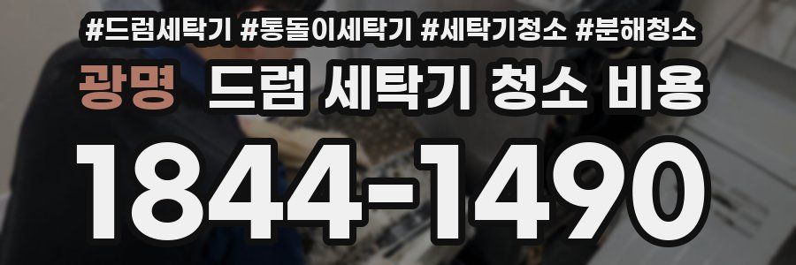 광명 드럼 세탁기 청소 비용