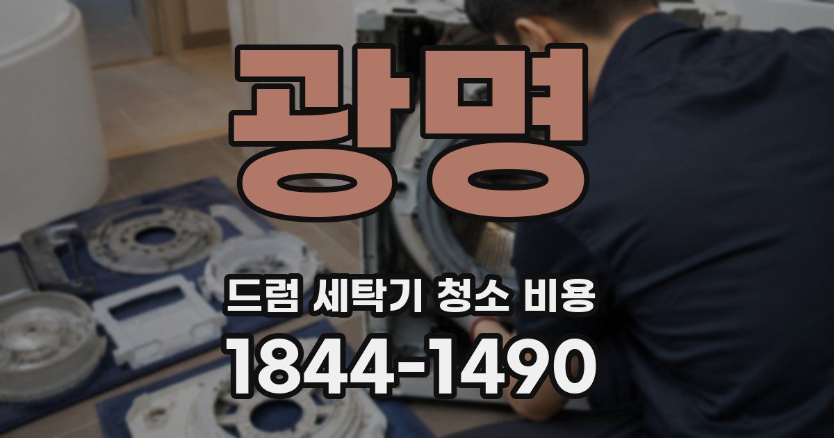 광명 드럼 세탁기 청소 비용